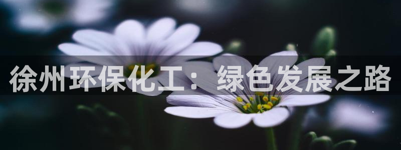 亿万国际合法吗：徐州环保化工：绿色发展之路