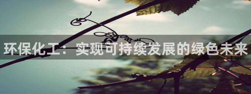 亿万讲了什么：环保化工：实现可持续发展的绿色未来