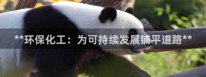 亿万小说免费阅读全文：**环保化工：为可持续发展铺平道路**