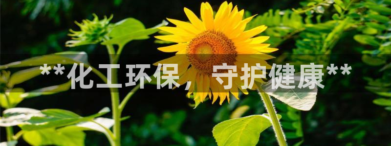 亿万先生mr07