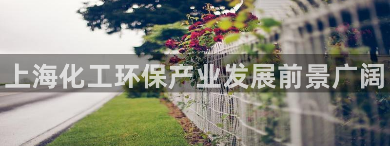 亿万先生官方登录网址：上海化工环保产业发展前景广阔