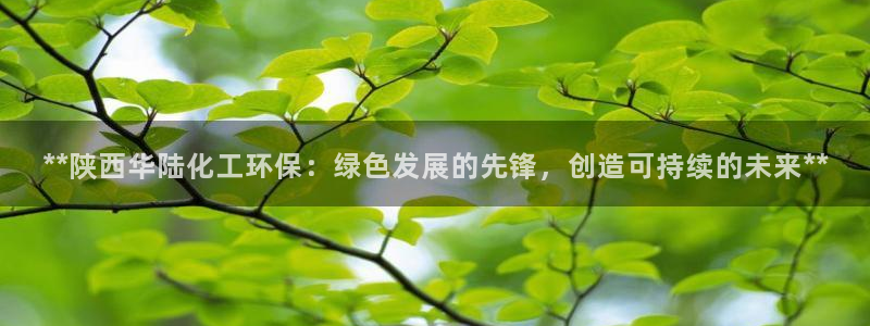 亿万先生合并：**陕西华陆化工环保：绿色发展的先锋，创造可持续的未来**
