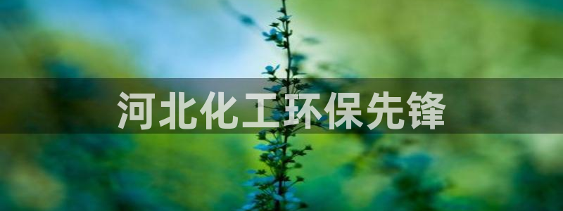 亿万先生官方网站首页：河北化工环保先锋