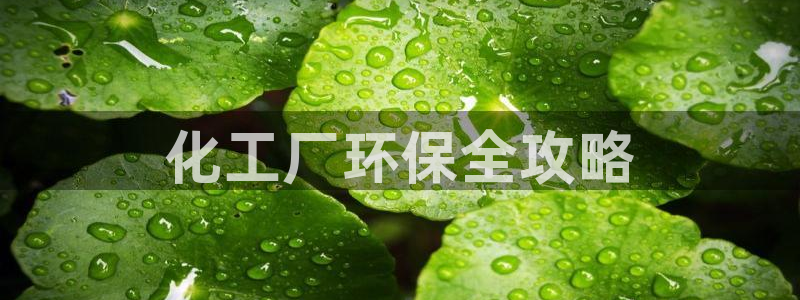 亿万国际游戏官网手机版：化工厂环保全攻略