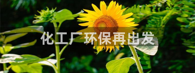 亿万手游平台官网入口：化工厂环保再出发