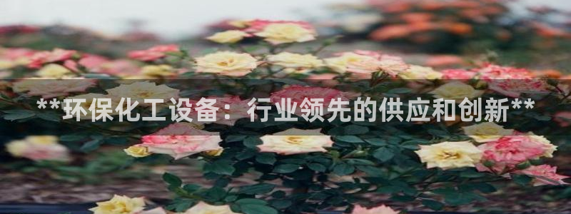 亿万网友在线解答：**环保化工设备：行业领先的供应和创新**