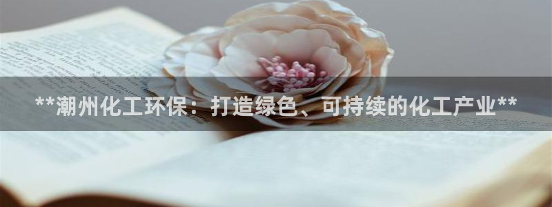 亿万千百十：**潮州化工环保：打造绿色、可持续的化工产业**