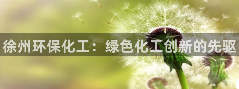 亿万先生客户端官网登录入口：徐州环保化工：绿色化工创新的先驱