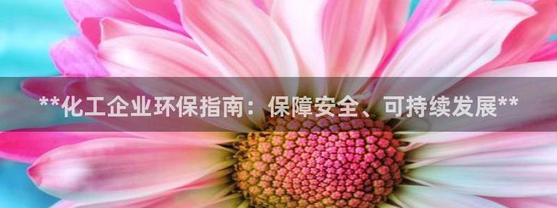 亿万网友在线解答：**化工企业环保指南：保障安全、可持续发展**