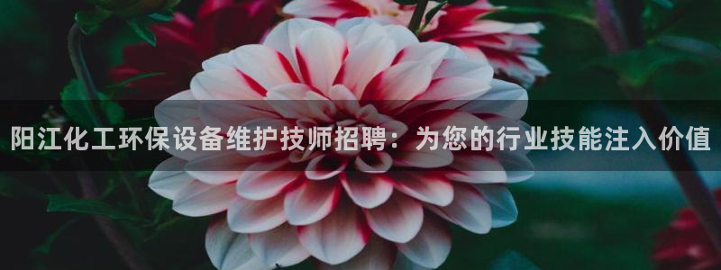 亿万讲什么：阳江化工环保设备维护技师招聘：为您的行业技能注入价值
