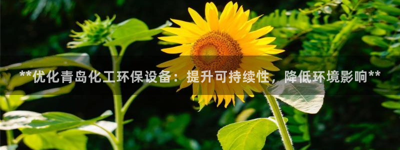 亿万先生网页版下载：**优化青岛化工环保设备：提升可持续性，降低环境影响**