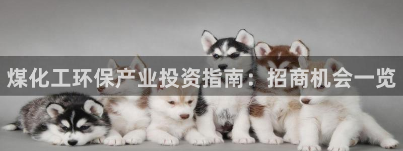 亿万先生官方网站下载安装：煤化工环保产业投资指南：招商机会一览