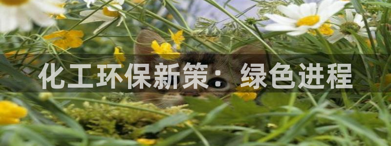 亿万先生客服联系电话：化工环保新策：绿色进程