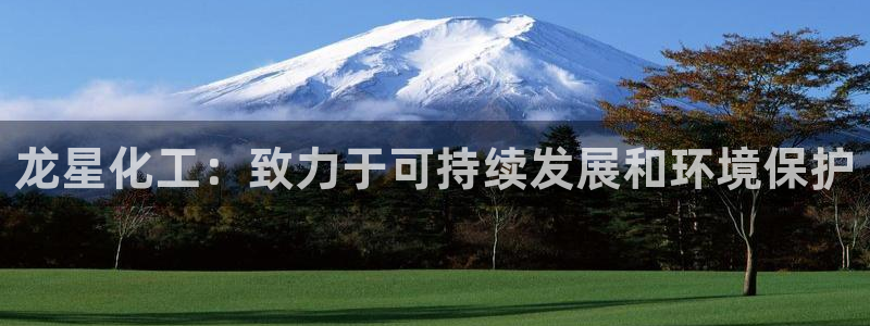 亿万网络科技有限公司ceo：龙星化工：致力于可持续发展和环境保护