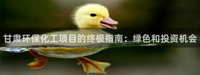 亿万剧情详解：甘肃环保化工项目的终极指南：绿色和投资机会