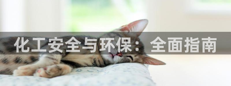 亿万先生手机版入口在哪：化工安全与环保：全面指南