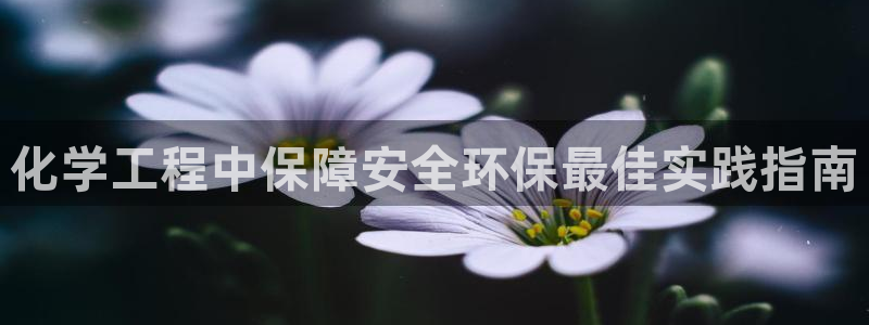 亿万先生换网址了吗：化学工程中保障安全环保最佳实践指南