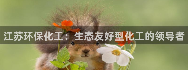 亿万国际合法吗：江苏环保化工：生态友好型化工的领导者