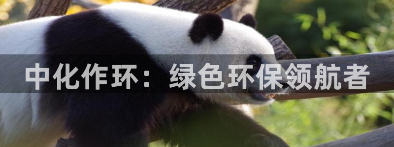 亿万剧集：中化作环：绿色环保领航者