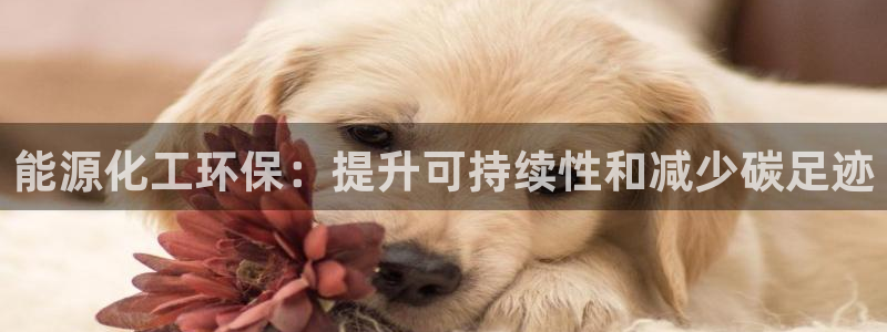 亿万网络科技有限公司ceo：能源化工环保：提升可持续性和减少碳足迹