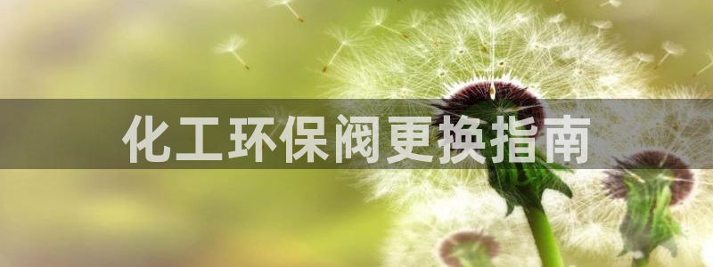 mr亿万先生：化工环保阀更换指南