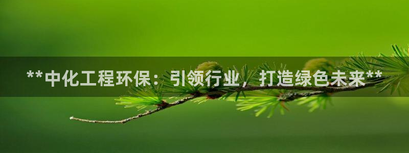 亿万先生下载网址app：**中化工程环保：引领行业，打造绿色未来**
