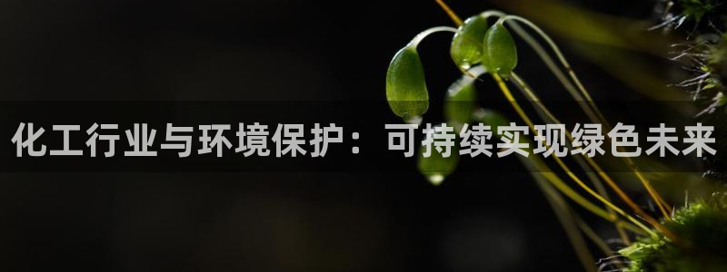 亿万先生客户端下载安装：化工行业与环境保护：可持续实现绿色未来