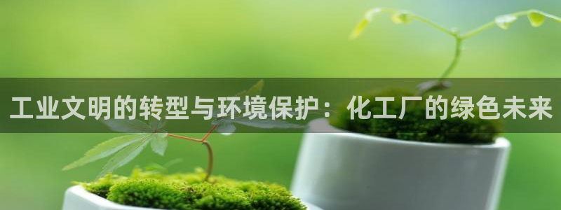 亿万国际游戏官网：工业文明的转型与环境保护：化工厂的绿色未来