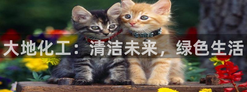 亿万先生下载客户端：大地化工：清洁未来，绿色生活