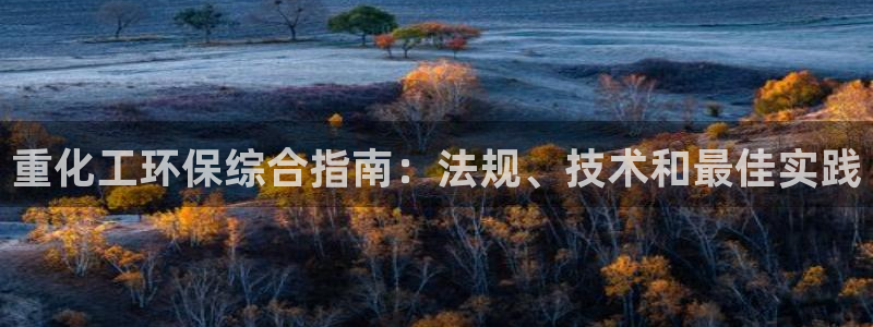 亿万城市手游：重化工环保综合指南：法规、技术和最佳实践