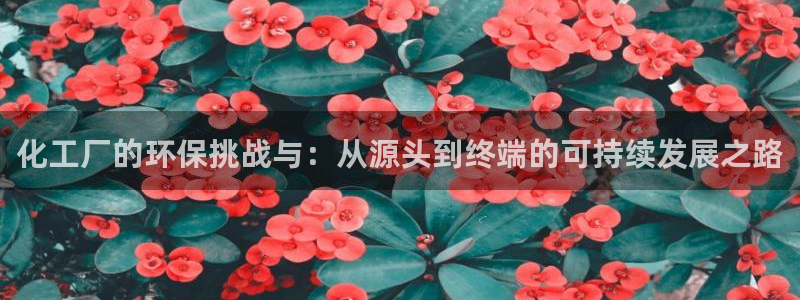 亿万第一集：化工厂的环保挑战与：从源头到终端的可持续发展之路