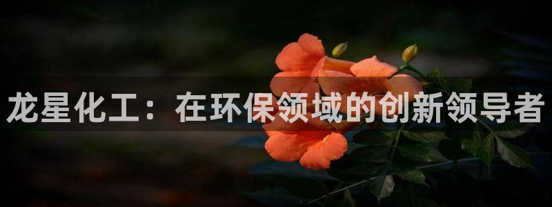 亿万小说免费阅读全文：龙星化工：在环保领域的创新领导者
