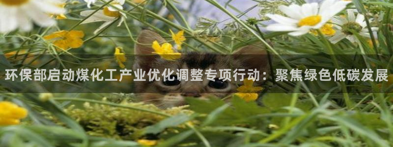 亿万app：环保部启动煤化工产业优化调整专项行动：聚焦绿色低碳发展