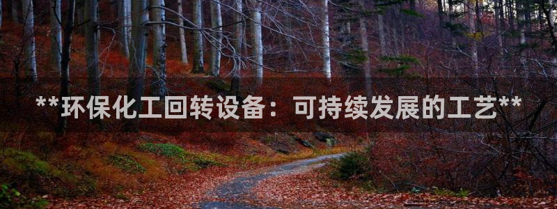 亿万先生网红：**环保化工回转设备：可持续发展的工艺**