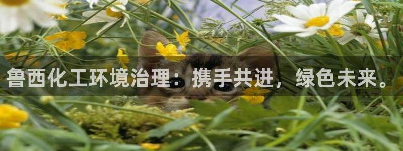 亿万app：鲁西化工环境治理：携手共进，绿色未来。