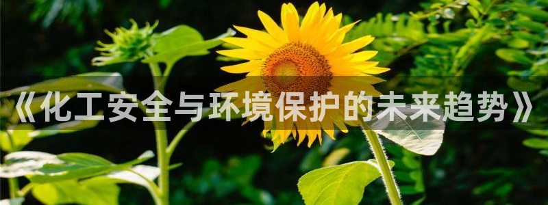 亿万先生客户端官网登录：《化工安全与环境保护的未来趋势》