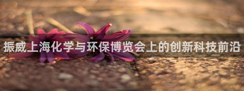 亿万先生mr网址：振威上海化学与环保博览会上的创新科技前沿