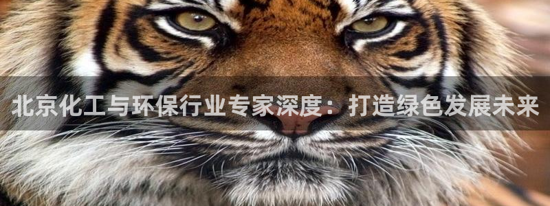 亿万先生情侣车有什么用：北京化工与环保行业专家深度：打造绿色发展未来