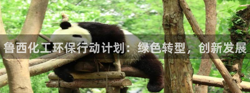 亿万财富网：鲁西化工环保行动计划：绿色转型，创新发展