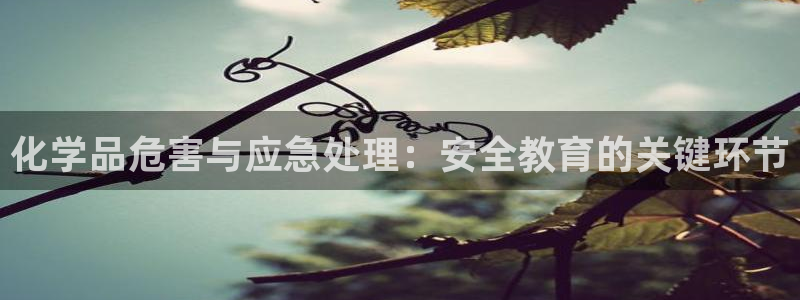 亿万先生官方客服：化学品危害与应急处理：安全教育的关键环节