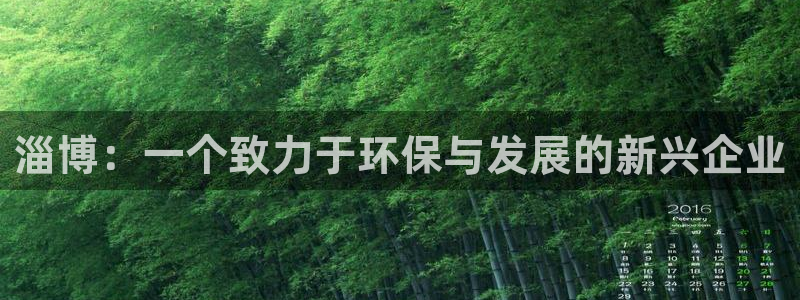 mr003亿万先生：淄博：一个致力于环保与发展的新兴企业