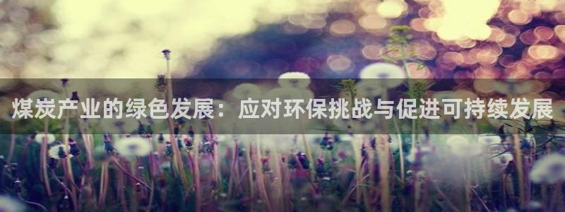 亿万先生官方网站客户端下载安装最新版：煤炭产业的绿色发展：应对环保挑战与促进可持续发展