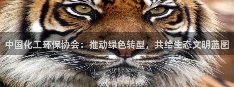 亿万先生官方网站下载安装：中国化工环保协会：推动绿色转型，共绘生态文明蓝图