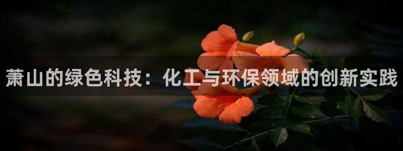 亿万手游官网：萧山的绿色科技：化工与环保领域的创新实践