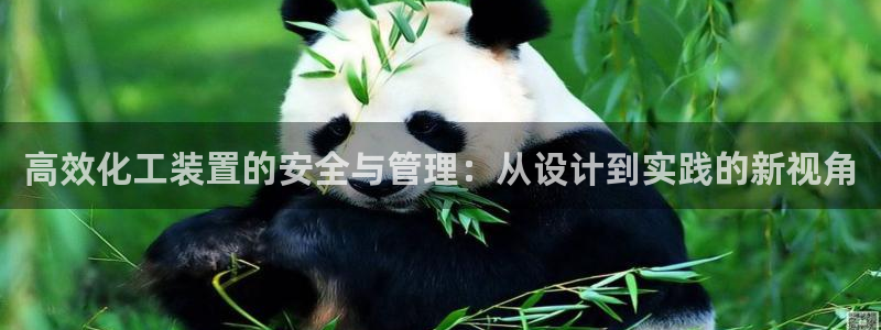 亿万笞人：高效化工装置的安全与管理：从设计到实践的新视角