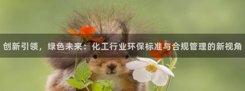 亿万先生情侣车有什么用：创新引领，绿色未来：化工行业环保标准与合规管理的新视角