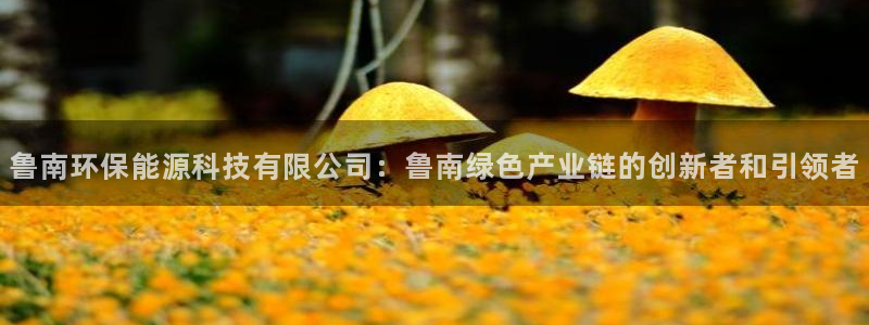 亿万网友在线解答：鲁南环保能源科技有限公司：鲁南绿色产业链的创新者和引领者