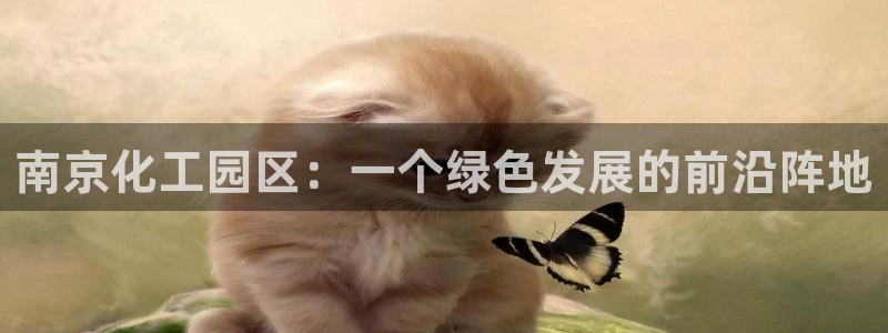 亿万先生充电桩：南京化工园区：一个绿色发展的前沿阵地
