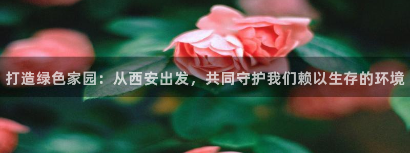 mr001亿万先生：打造绿色家园：从西安出发，共同守护我们赖以生存的环境