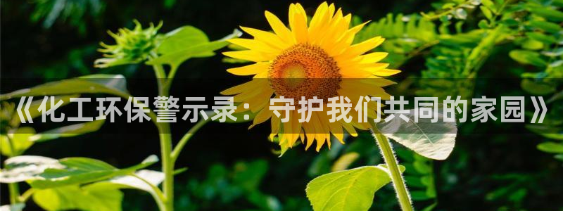 亿万国际平台是正规的吗安全吗：《化工环保警示录：守护我们共同的家园》